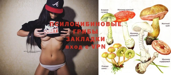 a pvp Вяземский